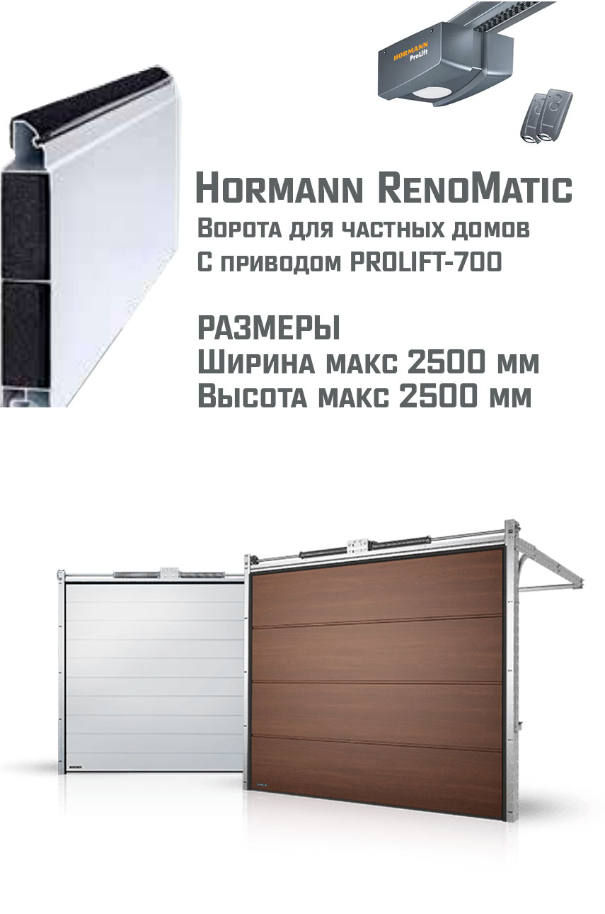 Гаражные секционные ворота RenoMatic  Ш*В 2500*2500